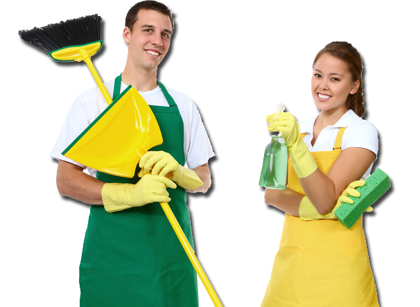 standard-element-image